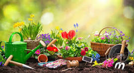 Image média: Le jardin mosaïque