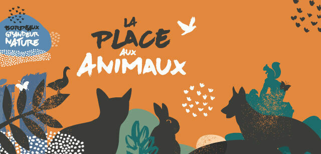 Image média: La condition animale