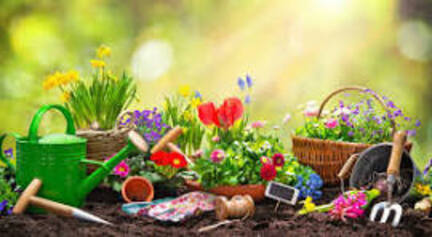 Image média: Le jardin mosaïque