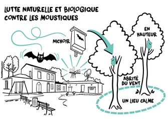 04_BP_MONSEJOUR_NICHOIR_CHAUVES