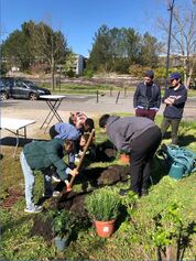 Image média: Compost et jardins partagés à la Bastide