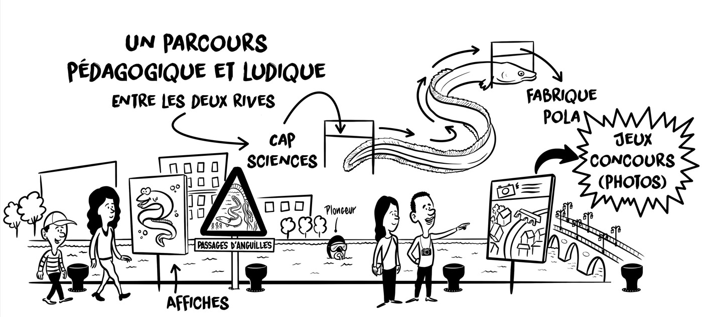 Image média: 28 - Promenade le long des quais à la découverte de l’Anguille