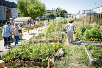 Jardins partagés de Bordeaux: Cultiver Ensemble pour un Avenir Durable